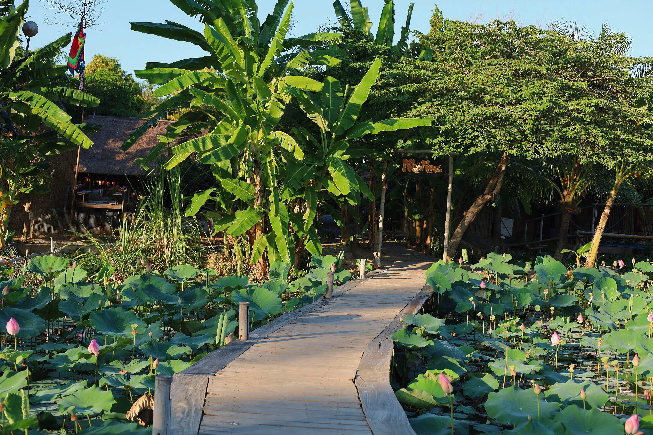 Tham quan chính